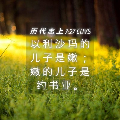 Picture 04 - 历 代 志 上 7:27 CUVS - 以 利 沙 玛 的 儿 子 是 嫩 ； 嫩 的 - Bible Verse Picture