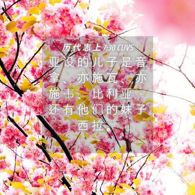 Picture 04 - 历 代 志 上 7:30 CUVS - 亚 设 的 儿 子 是 音 拿 、 亦 施 瓦 - Bible Verse Picture