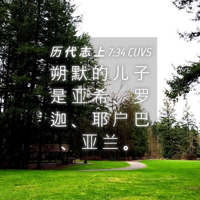 Picture 04 - 历 代 志 上 7:34 CUVS - 朔 默 的 儿 子 是 亚 希 、 罗 迦 、 - Bible Verse Picture