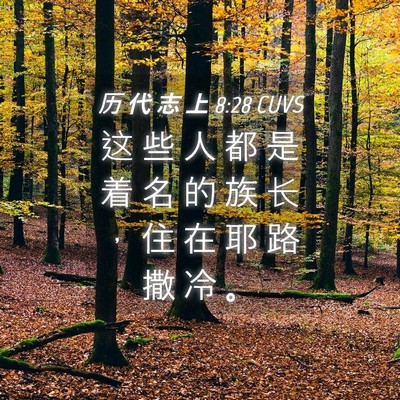 Picture 04 - 历 代 志 上 8:28 CUVS - 这 些 人 都 是 着 名 的 族 长 ， 住 - Bible Verse Picture