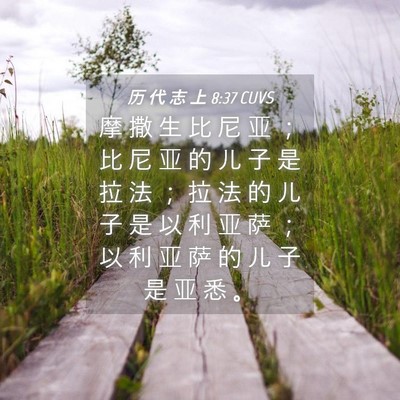 Picture 04 - 历 代 志 上 8:37 CUVS - 摩 撒 生 比 尼 亚 ； 比 尼 亚 的 儿 - Bible Verse Picture