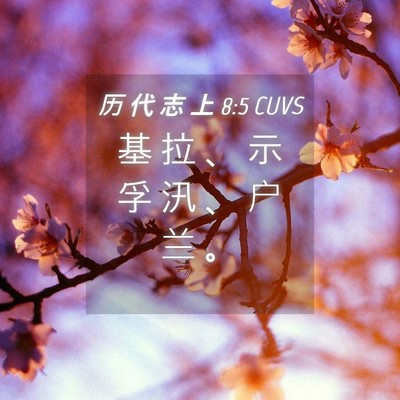 Picture 04 - 历 代 志 上 8:5 CUVS - 基 拉 、 示 孚 汛 、 户 兰 - Bible Verse Picture