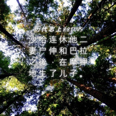 Picture 04 - 历 代 志 上 8:8 CUVS - 沙 哈 连 休 他 二 妻 户 伸 和 巴 拉 - Bible Verse Picture