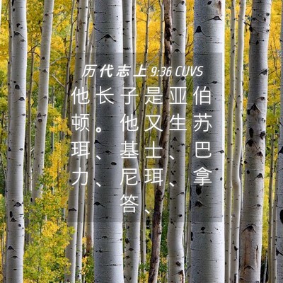 Picture 04 - 历 代 志 上 9:36 CUVS - 他 长 子 是 亚 伯 顿 。 他 又 生 苏 - Bible Verse Picture