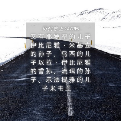 Picture 04 - 历 代 志 上 9:8 CUVS - 又 有 耶 罗 罕 的 儿 子 伊 比 尼 雅 - Bible Verse Picture