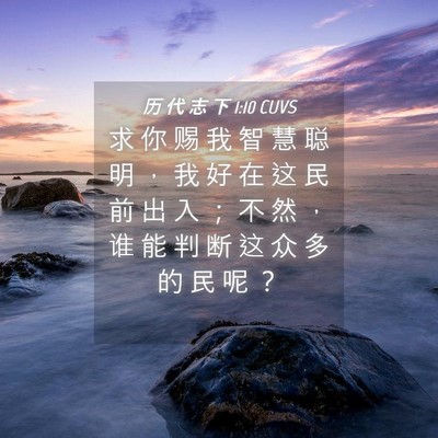 Picture 04 - 历 代 志 下 1:10 CUVS - 求 你 赐 我 智 慧 聪 明 ， 我 好 在 - Bible Verse Picture