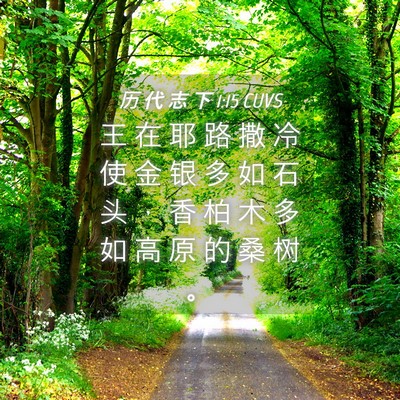 Picture 04 - 历 代 志 下 1:15 CUVS - 王 在 耶 路 撒 冷 使 金 银 多 如 石 - Bible Verse Picture