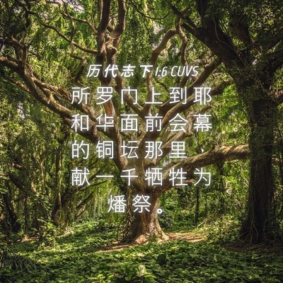 Picture 04 - 历 代 志 下 1:6 CUVS - 所 罗 门 上 到 耶 和 华 面 前 会 幕 - Bible Verse Picture