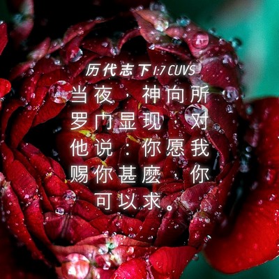 Picture 04 - 历 代 志 下 1:7 CUVS - 当 夜 ， 神 向 所 罗 门 显 现 ， 对 - Bible Verse Picture