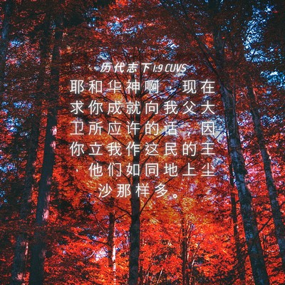 Picture 04 - 历 代 志 下 1:9 CUVS - 耶 和 华 神 啊 ， 现 在 求 你 成 就 - Bible Verse Picture