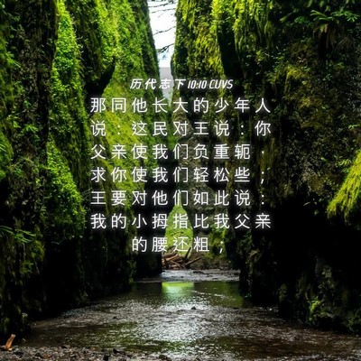 Picture 04 - 历 代 志 下 10:10 CUVS - 那 同 他 长 大 的 少 年 人 说 ： 这 - Bible Verse Picture
