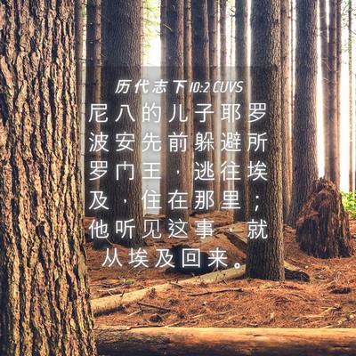 Picture 04 - 历 代 志 下 10:2 CUVS - 尼 八 的 儿 子 耶 罗 波 安 先 前 躲 - Bible Verse Picture