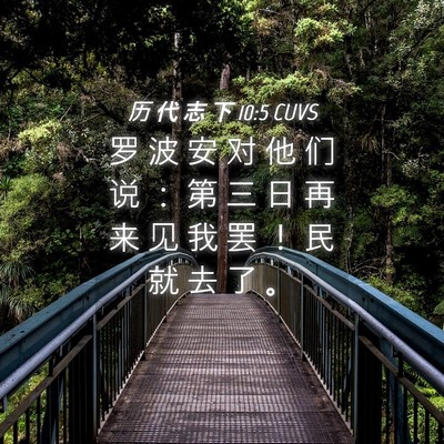 Picture 04 - 历 代 志 下 10:5 CUVS - 罗 波 安 对 他 们 说 ： 第 三 日 再 - Bible Verse Picture
