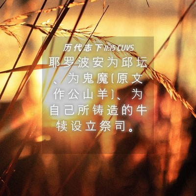 Picture 04 - 历 代 志 下 11:15 CUVS - 耶 罗 波 安 为 邱 坛 、 为 鬼 魔 ( 原 - Bible Verse Picture