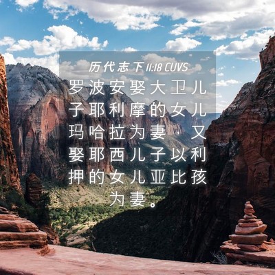 Picture 04 - 历 代 志 下 11:18 CUVS - 罗 波 安 娶 大 卫 儿 子 耶 利 摩 的 - Bible Verse Picture