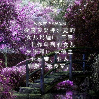 Picture 04 - 历 代 志 下 11:20 CUVS - 後 来 又 娶 押 沙 龙 的 女 儿 玛 迦 ( - Bible Verse Picture