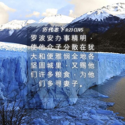 Picture 04 - 历 代 志 下 11:23 CUVS - 罗 波 安 办 事 精 明 ， 使 他 众 子 - Bible Verse Picture