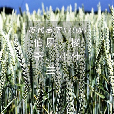 Picture 04 - 历 代 志 下 11:7 CUVS - 伯 夙 、 梭 哥 、 亚 杜 兰 - Bible Verse Picture