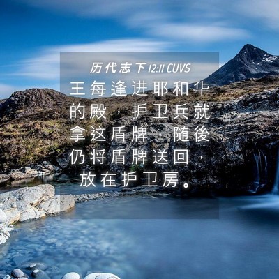 Picture 04 - 历 代 志 下 12:11 CUVS - 王 每 逢 进 耶 和 华 的 殿 ， 护 卫 - Bible Verse Picture