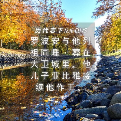 Picture 04 - 历 代 志 下 12:16 CUVS - 罗 波 安 与 他 列 祖 同 睡 ， 葬 在 - Bible Verse Picture