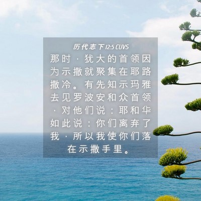 Picture 04 - 历 代 志 下 12:5 CUVS - 那 时 ， 犹 大 的 首 领 因 为 示 撒 - Bible Verse Picture