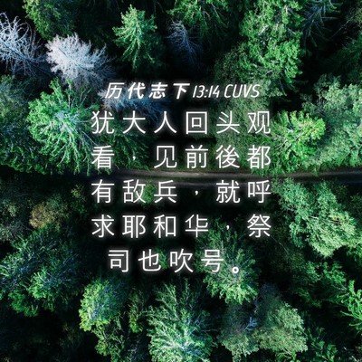 Picture 04 - 历 代 志 下 13:14 CUVS - 犹 大 人 回 头 观 看 ， 见 前 後 都 - Bible Verse Picture