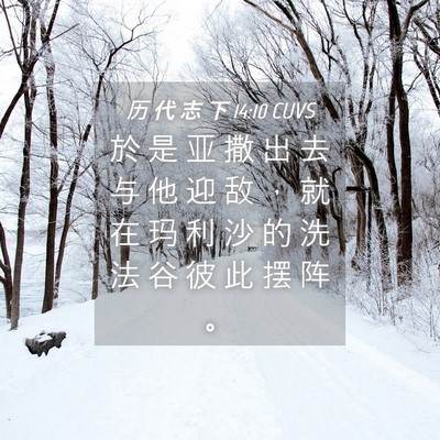 Picture 04 - 历 代 志 下 14:10 CUVS - 於 是 亚 撒 出 去 与 他 迎 敌 ， 就 - Bible Verse Picture