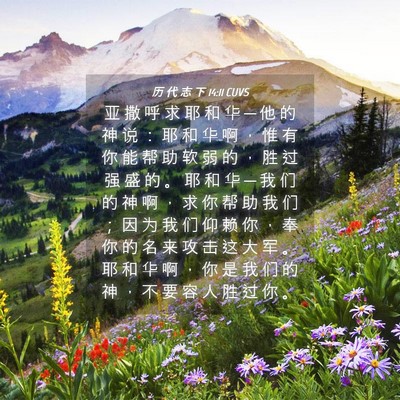 Picture 04 - 历 代 志 下 14:11 CUVS - 亚 撒 呼 求 耶 和 华 ─ 他 的 神 说 - Bible Verse Picture