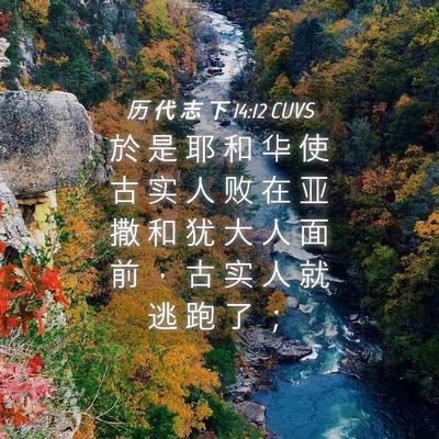 Picture 04 - 历 代 志 下 14:12 CUVS - 於 是 耶 和 华 使 古 实 人 败 在 亚 - Bible Verse Picture