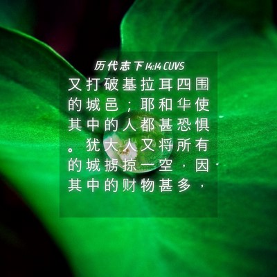 Picture 04 - 历 代 志 下 14:14 CUVS - 又 打 破 基 拉 耳 四 围 的 城 邑 ； - Bible Verse Picture