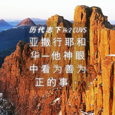 Picture 04 - 历 代 志 下 14:2 CUVS - 亚 撒 行 耶 和 华 ─ 他 神 眼 中 看 - Bible Verse Picture