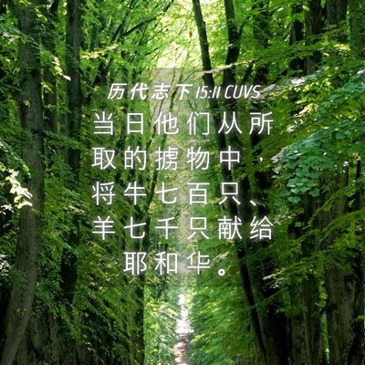 Picture 04 - 历 代 志 下 15:11 CUVS - 当 日 他 们 从 所 取 的 掳 物 中 ， - Bible Verse Picture