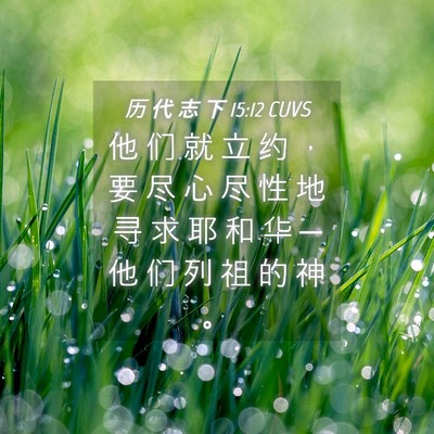 Picture 04 - 历 代 志 下 15:12 CUVS - 他 们 就 立 约 ， 要 尽 心 尽 性 地 - Bible Verse Picture