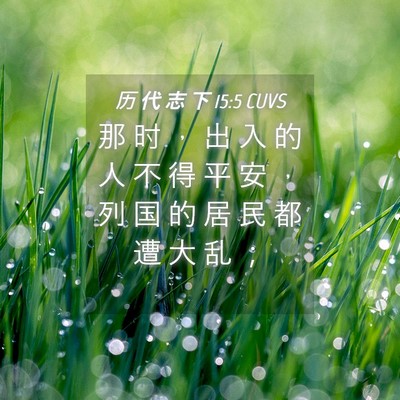 Picture 04 - 历 代 志 下 15:5 CUVS - 那 时 ， 出 入 的 人 不 得 平 安 ， - Bible Verse Picture