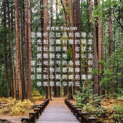 Picture 04 - 历 代 志 下 15:8 CUVS - 亚 撒 听 见 这 话 和 俄 德 儿 子 先 - Bible Verse Picture