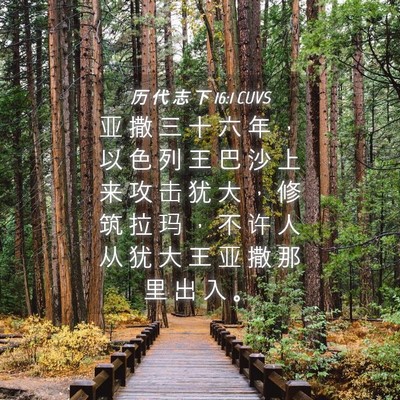 Picture 04 - 历 代 志 下 16:1 CUVS - 亚 撒 三 十 六 年 ， 以 色 列 王 巴 - Bible Verse Picture