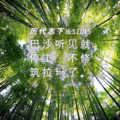 Picture 04 - 历 代 志 下 16:5 CUVS - 巴 沙 听 见 就 停 工 ， 不 修 筑 拉 - Bible Verse Picture