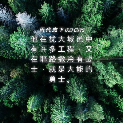 Picture 04 - 历 代 志 下 17:13 CUVS - 他 在 犹 大 城 邑 中 有 许 多 工 程 - Bible Verse Picture