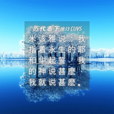 Picture 04 - 历 代 志 下 18:13 CUVS - 米 该 雅 说 ： 我 指 着 永 生 的 耶 - Bible Verse Picture