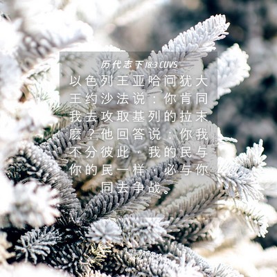 Picture 04 - 历 代 志 下 18:3 CUVS - 以 色 列 王 亚 哈 问 犹 大 王 约 沙 - Bible Verse Picture