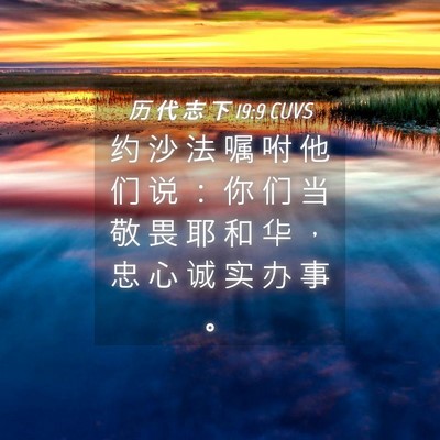 Picture 04 - 历 代 志 下 19:9 CUVS - 约 沙 法 嘱 咐 他 们 说 ： 你 们 当 - Bible Verse Picture