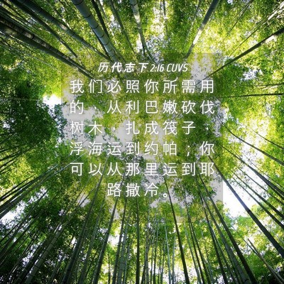 Picture 04 - 历 代 志 下 2:16 CUVS - 我 们 必 照 你 所 需 用 的 ， 从 利 - Bible Verse Picture