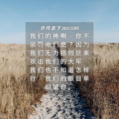 Picture 04 - 历 代 志 下 20:12 CUVS - 我 们 的 神 啊 ， 你 不 惩 罚 他 们 - Bible Verse Picture