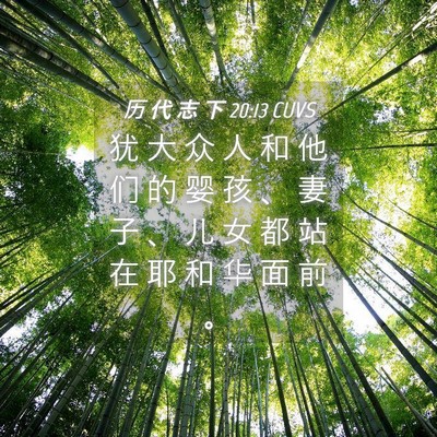 Picture 04 - 历 代 志 下 20:13 CUVS - 犹 大 众 人 和 他 们 的 婴 孩 、 妻 - Bible Verse Picture