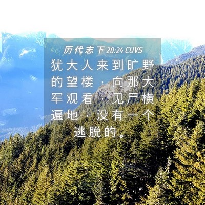 Picture 04 - 历 代 志 下 20:24 CUVS - 犹 大 人 来 到 旷 野 的 望 楼 ， 向 - Bible Verse Picture
