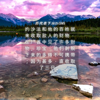 Picture 04 - 历 代 志 下 20:25 CUVS - 约 沙 法 和 他 的 百 姓 就 来 收 取 - Bible Verse Picture