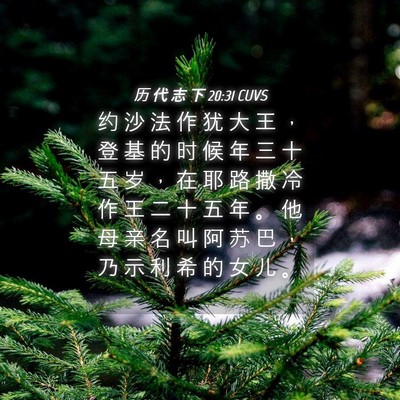 Picture 04 - 历 代 志 下 20:31 CUVS - 约 沙 法 作 犹 大 王 ， 登 基 的 时 - Bible Verse Picture