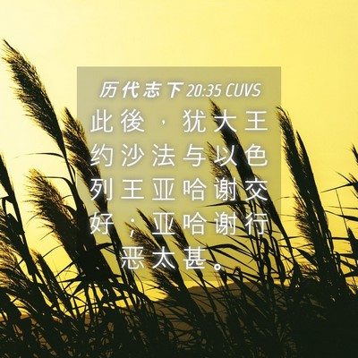 Picture 04 - 历 代 志 下 20:35 CUVS - 此 後 ， 犹 大 王 约 沙 法 与 以 色 - Bible Verse Picture