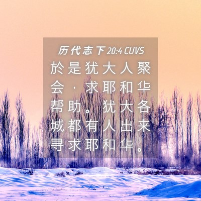 Picture 04 - 历 代 志 下 20:4 CUVS - 於 是 犹 大 人 聚 会 ， 求 耶 和 华 - Bible Verse Picture