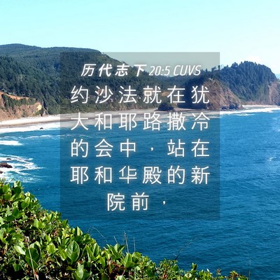 Picture 04 - 历 代 志 下 20:5 CUVS - 约 沙 法 就 在 犹 大 和 耶 路 撒 冷 - Bible Verse Picture